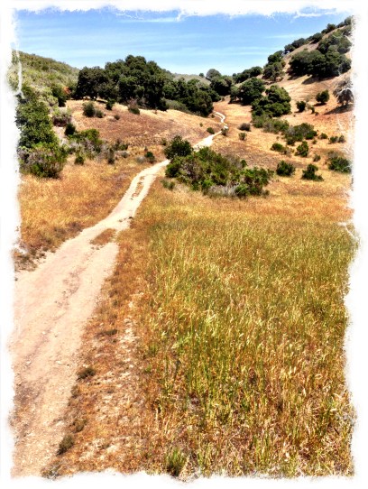 portrait landscapes-2867