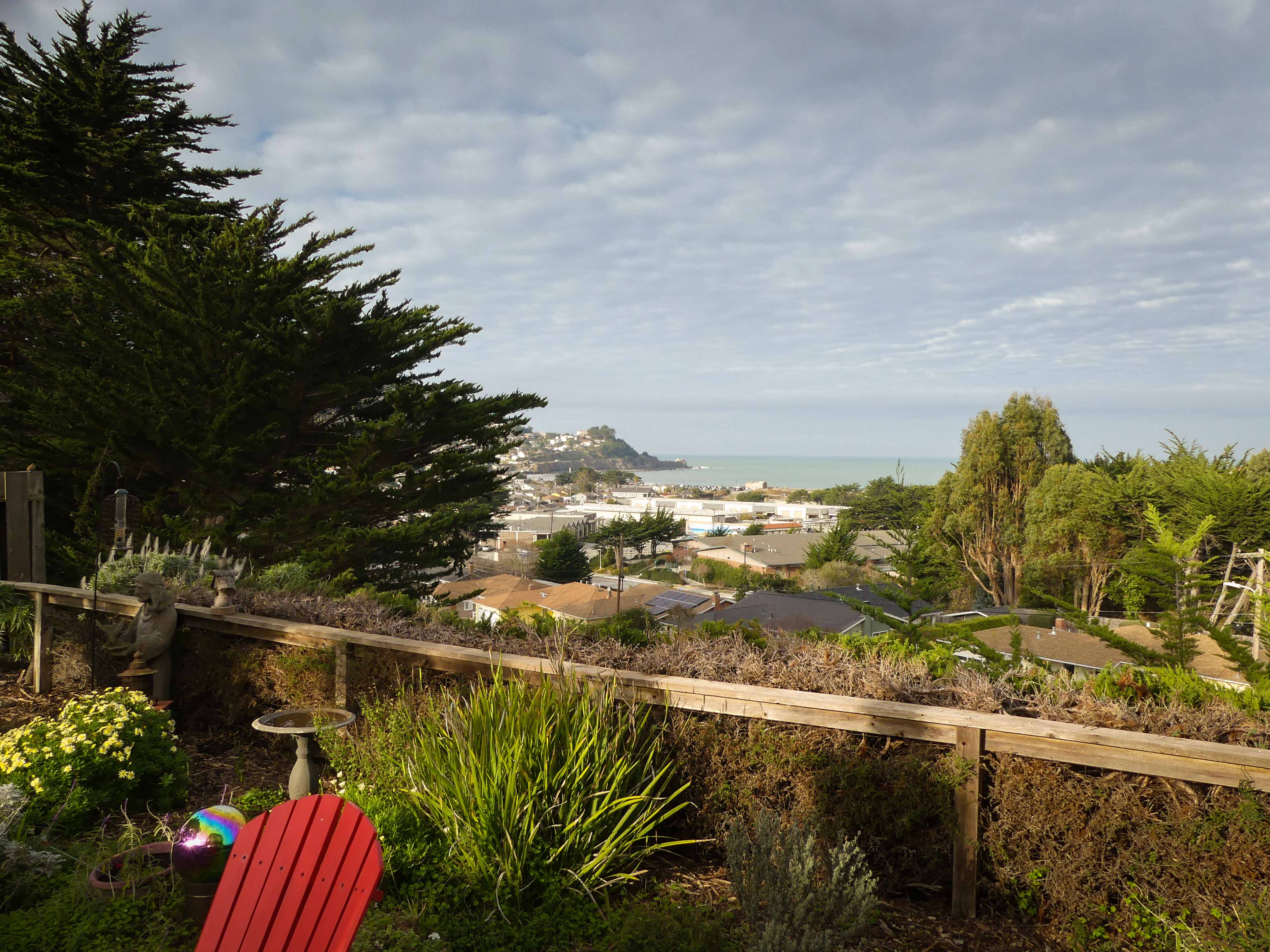 portrait landscapes-1000049