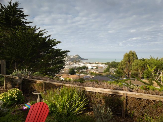 portrait landscapes-1000049