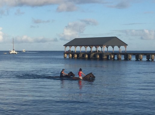 hanalei-horses-from-lorrie-dana